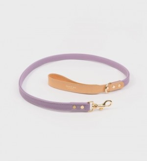 Men's Sporty And Rich Dog Leash Small Leather Goods Purple / Gold | 0d0viCpbnnP