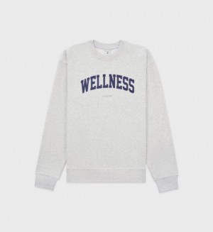 Men's Sporty And Rich Wellness Ivy Crewneck Sweatshirts Grey | ykC21LXd9DK