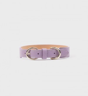 Women's Sporty And Rich Dog Collar Small Leather Goods Purple / Gold | cYdJzFqakqF