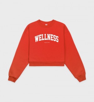 Women's Sporty And Rich Wellness Ivy Cropped Crewneck Sweatshirts Red / White | wEEhbeS0l6H